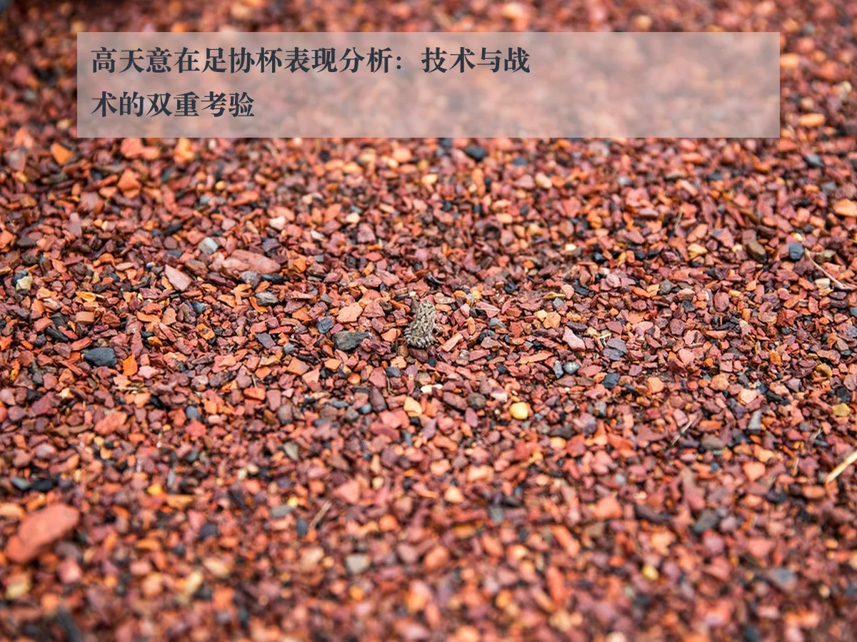 高天意在足协杯表现分析:技术与战术的双重考验 | www.ky.cc
